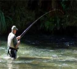 New Zealand's Best Wild Trout Fishery