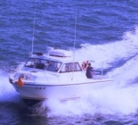 Charter Fishing And Cruises In Florida
