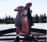 Alaskan Lodge, Kenai River Fishing & Charters