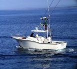 Costa Rica Sportfishing