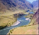 Whitewater rafting and fishing on the Snake River