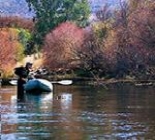 Exotic Fly Fishing In South Africa