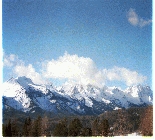 Fly Fishing Elk River