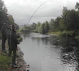 Flyfishing On The North Tyne