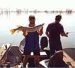 Fishing Northern Pike and White Bass North Dakota