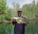 Fishing Western Arizona & The Colorado River System