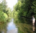 Fly Fishing River Suir
