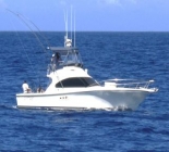 Bermagui Game Fishing Charters