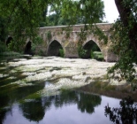 Fly Fishing In Northern Spain