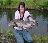 Photograph of Flyfishing trips near Denver, Colorado Springs