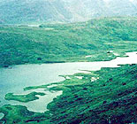 Fly Fishing Risfjord River Norway