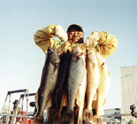 Walleye fishing Lake Erie