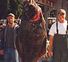Salmon Fishing Charter Alaska