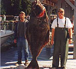 Salmon Fishing Charter Alaska