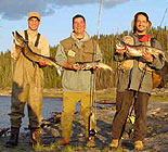 Fly Fishing Northern Pike Outardes River