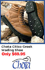 Chota Citico Creek Wading Shoe